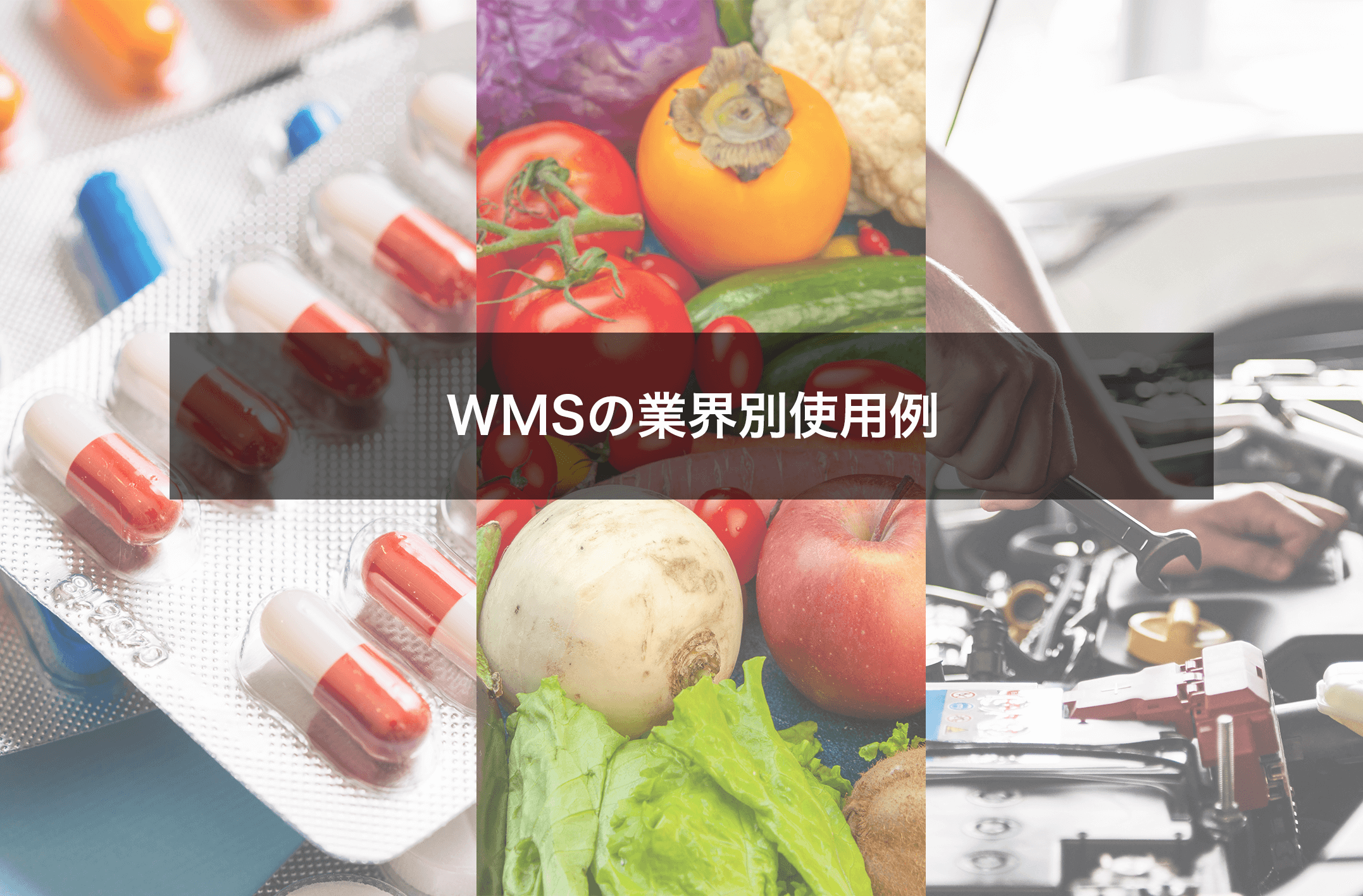 業界別WMSの使用例